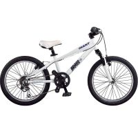 Bicicleta Giant Brass 20