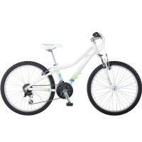 Bicicleta Giant AREVA 1- 24''