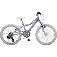 Bicicleta Giant AREVA 2-20''