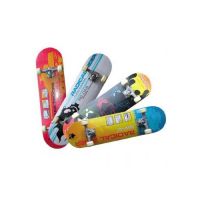 Skateboard Worker Radical Rider