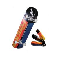Skateboard Worker Urban Reptile