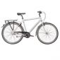 Bicicleta Leader 26 MTB Wild Catt furca fixa
