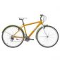 Bicicleta Leader 28 Ara Gent