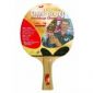 Butterfly Timo Boll Bronze