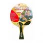 Butterfly Timo Boll Platin