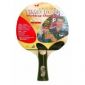 Butterfly Timo Boll Silver