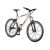 Bicicleta Leader 26 MTB Altero Foto 1