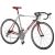 Bicicleta Leader RUN-R 2.0 Foto 1