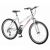 Bicicleta Leader Evolution Foto 1