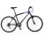 Bicicleta Giant 26 MTB Rock Foto 1