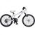 Bicicleta Giant Brass 20 Foto 1