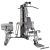 Aparat multifunctional Life Fitness G3 Foto 2