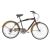Bicicleta Leader 26 Cruiser Easy Rider Foto 1