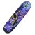 Skateboard Sportmann Terror Foto 1