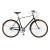Bicicleta Giant CTB Via 1 Foto 1