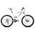 Bicicleta Orbea Max Flow Foto 1