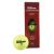 Wilson Championship Pressureless 3 mingi Foto 1